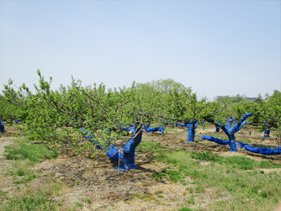 社会福祉法人愛心会